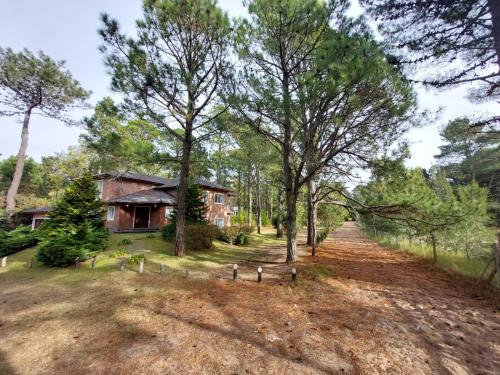 Casa M – Photos 3