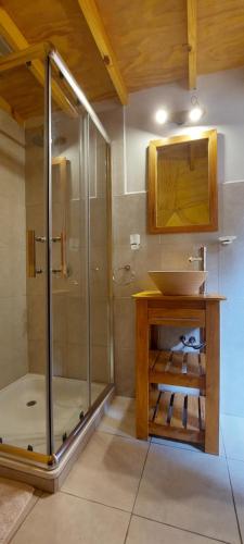 y baño con ducha acristalada y lavamanos. en El Cipresal - Domo Tintica en San Martín de los Andes
