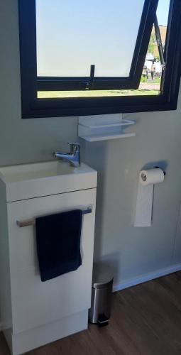 a bathroom with a sink and a mirror and toilet paper at The Morgans in Waiau