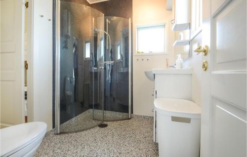ハザスレウにあるLovely Home In Haderslev With House Sea Viewのバスルーム(シャワー、トイレ、シンク付)