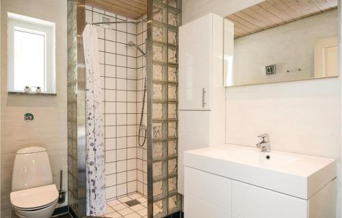 OddeにあるGorgeous Home In Hadsund With Wifiのバスルーム(トイレ、洗面台、シャワー付)