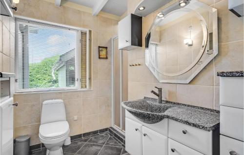uma casa de banho com um WC, um lavatório e um espelho. em 4 Bedroom Cozy Home In Holbk em Holbæk