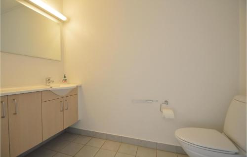 a bathroom with a toilet and a sink and a mirror at Nice Home In Hjer With Kitchen in Emmerlev