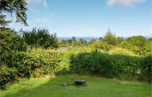 a garden with a bird bath in the grass at 4 Bedroom Stunning Home In Fårevejle in Fårevejle