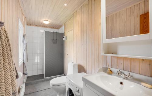 a bathroom with a sink and a toilet and a shower at Nice Home In Augustenborg With Sauna in Asserballeskov