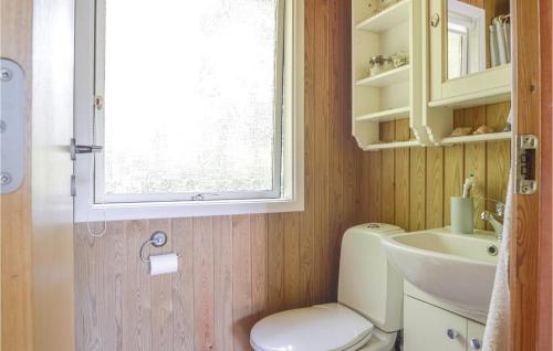 HvalpsundにあるStunning Home In Fars With Wifiのバスルーム(トイレ、洗面台付)、窓が備わります。