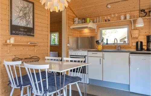 Una cocina o cocineta en 2 Bedroom Amazing Home In Nexø