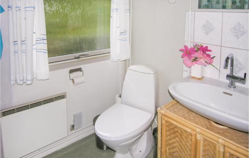 a white bathroom with a toilet and a sink at Lovely Home In Tranekr With Wifi in Hou