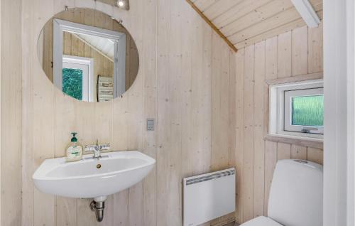 Houにある3 Bedroom Cozy Home In Tranekrのバスルーム(洗面台、鏡、トイレ付)