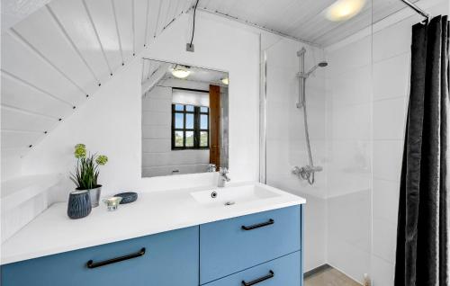 Bjerregårdにある3 Bedroom Gorgeous Home In Hvide Sandeのバスルーム(洗面台、鏡付)