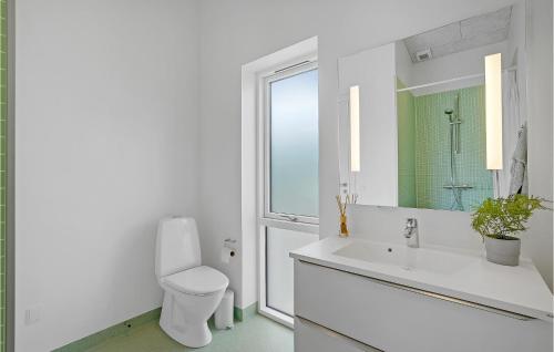 a white bathroom with a toilet and a sink at Amazing Home In Spøttrup With Wifi in Lihme