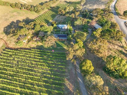 an aerial view of a house in a vineyard at Blickinstal Holiday Retreat in Bethany