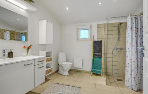 a bathroom with a toilet sink and a shower at Nice Home In Havndal With Kitchen in Havndal