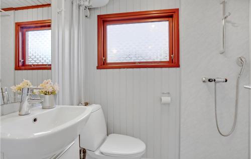 Hejls的住宿－Lovely Home In Hejls With Kitchen，浴室配有卫生间、盥洗盆和淋浴。