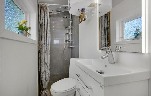 een badkamer met een toilet, een wastafel en een douche bij 2 Bedroom Beautiful Home In Grsted in Græsted