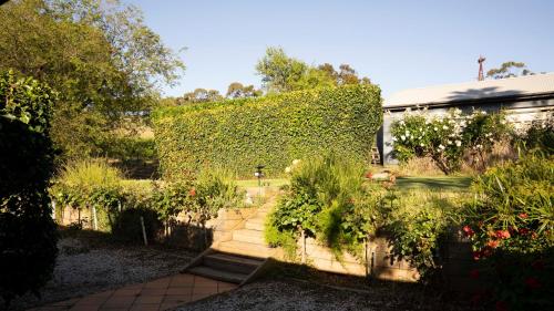 a garden with a fence and some plants at Blickinstal Holiday Retreat in Bethany