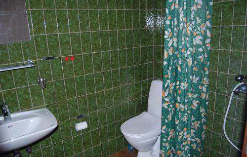La salle de bains est pourvue de carrelage vert, de toilettes et d'un lavabo. dans l'établissement Amazing Home In Rm With Kitchen, à Bolilmark