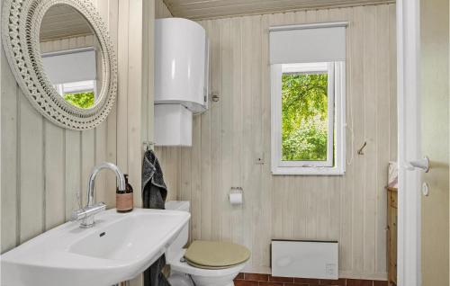 a bathroom with a sink and a toilet and a mirror at Amazing Home In Spttrup With House Sea View in Spottrup