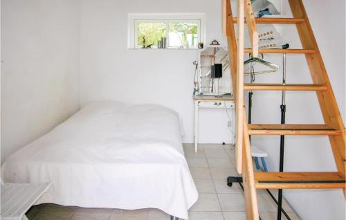 a bedroom with a bunk bed and a ladder at Gorgeous Home In Tranekr With Kitchen in Lohals