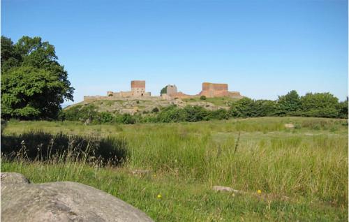 a castle on a hill in a field at Lovely Apartment In Allinge With Wifi in Allinge