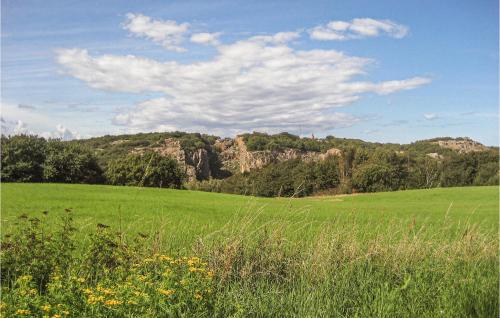 a green field with a mountain in the background at Lovely Apartment In Allinge With Wifi in Allinge