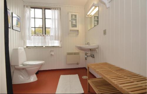ハザスレウにあるAmazing Home In Haderslev With House Sea Viewの白いバスルーム(トイレ、シンク付)