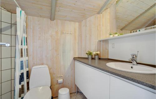 Bjerregårdにある5 Bedroom Pet Friendly Home In Hvide Sandeのバスルーム(トイレ、洗面台付)