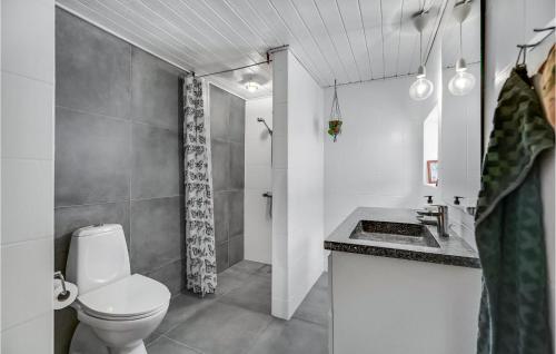 een badkamer met een toilet, een wastafel en een douche bij Cozy Home In Silkeborg With Kitchen in Silkeborg