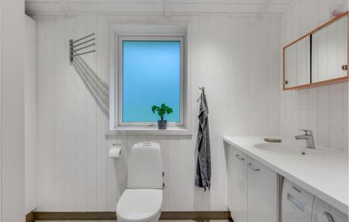 baño blanco con aseo y ventana en 3 Bedroom Stunning Home In Frederiksvrk, en Frederiksværk