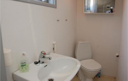 ボルコップにあるAmazing Home In Brkop With 2 Bedrooms And Wifiのバスルーム(白い洗面台、トイレ付)