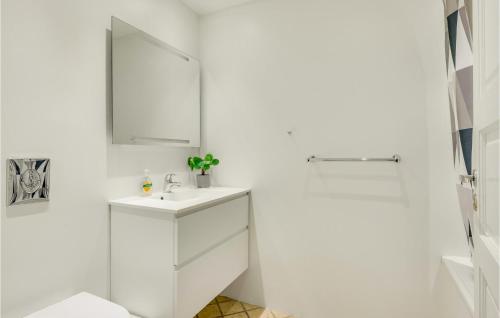 a white bathroom with a sink and a mirror at Beautiful Apartment In Helsingr With Wifi in Helsingør