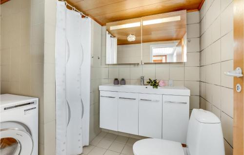 ハザスレウにあるNice Home In Haderslev With Wifiの白いバスルーム(トイレ、シンク付)
