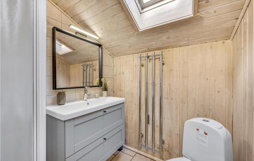 Bjerregårdにある3 Bedroom Gorgeous Home In Hvide Sandeのバスルーム(洗面台、鏡、トイレ付)