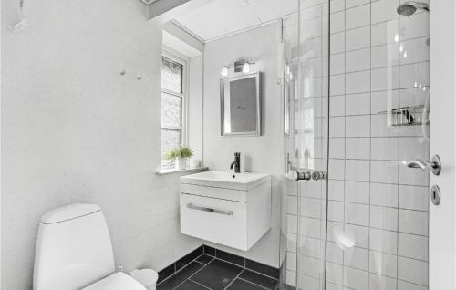 Awesome Home In Toftlund With Kitchen في Arrild: حمام ابيض مع مرحاض ومغسلة