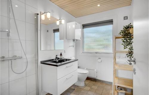 Bjerregårdにある3 Bedroom Cozy Home In Hvide Sandeの白いバスルーム(洗面台、トイレ付)