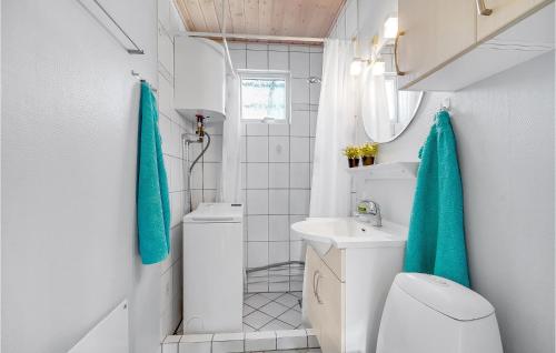 Baño pequeño con aseo y lavamanos en Gorgeous Home In Karrebksminde With Kitchen, en Karrebæksminde
