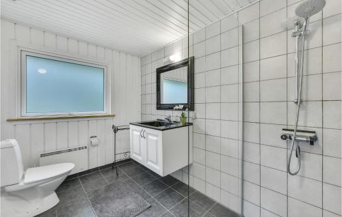 BjerregårdにあるCozy Home In Hvide Sande With Kitchenのバスルーム(トイレ、洗面台付)、窓が備わります。
