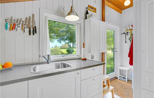 uma cozinha com um lavatório e uma janela em 1 Bedroom Awesome Home In Jgerspris em Jægerspris
