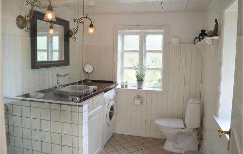 baño con lavabo y aseo y ventana en 2 Bedroom Awesome Home In Gilleleje, en Gilleleje