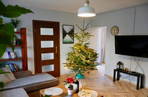 a living room with a christmas tree and a television at Apartamenty Pod Hutą in Węgierska Górka