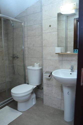a bathroom with a toilet and a sink at Villa Konzuli in Bitola