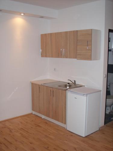 Dapur atau dapur kecil di Pokoje Typu Studio Sosnowiec