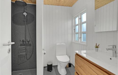 uma casa de banho com um chuveiro, um WC e um lavatório. em Amazing Home In Juelsminde With Wifi em Sønderby