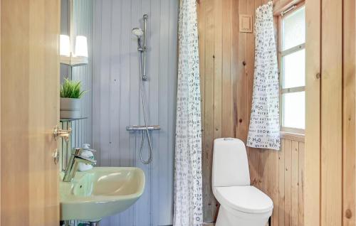 DronningmølleにあるLovely Home In Hornbk With Kitchenのバスルーム(洗面台、トイレ、シャワー付)