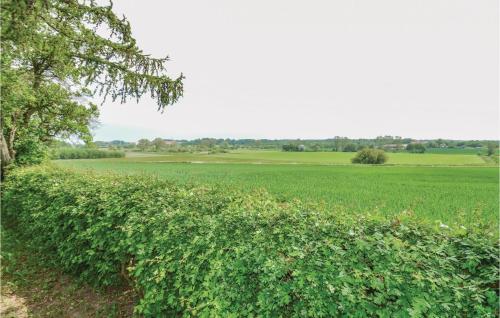 a hedge in front of a green field at Holiday Home Stubbekobing With Fireplace Ii in Vejringe