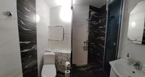 a small bathroom with a toilet and a shower at Apartments near the center and airport in Tallinn
