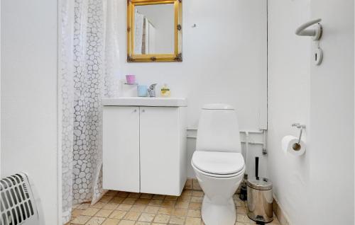 a white bathroom with a toilet and a mirror at Gorgeous Apartment In Nex With Kitchen in Neksø