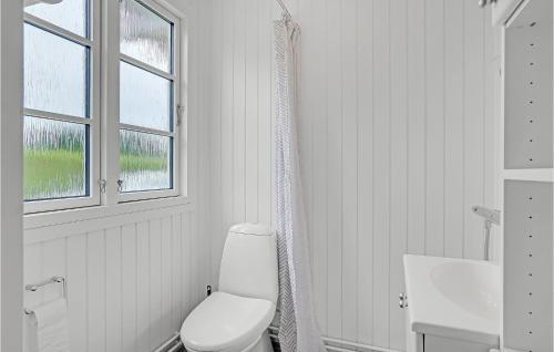Baño blanco con aseo y lavamanos en Cozy Home In Skibby With Wifi, en Skibby