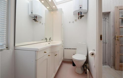 ハザスレウにあるLovely Home In Haderslev With Kitchenの白いバスルーム(洗面台、トイレ付)