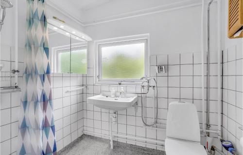 ロスキレにあるGorgeous Home In Roskilde With Wifiの白いバスルーム(シンク、窓付)